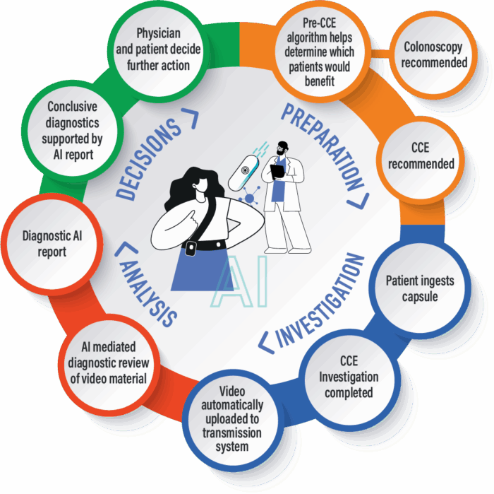 Graphic overview of The AICE Pathway