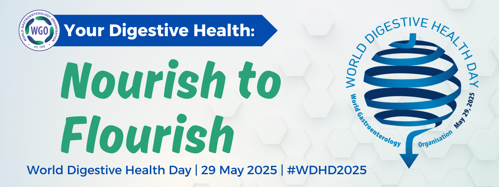 Official banner of World Digestive Health Day 2025